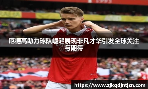 芒果体育官网入口